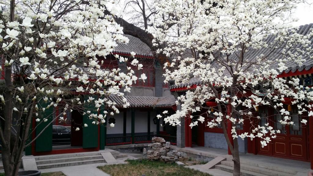 Scholar Tree Courtyard Hotel Peking Exteriér fotografie